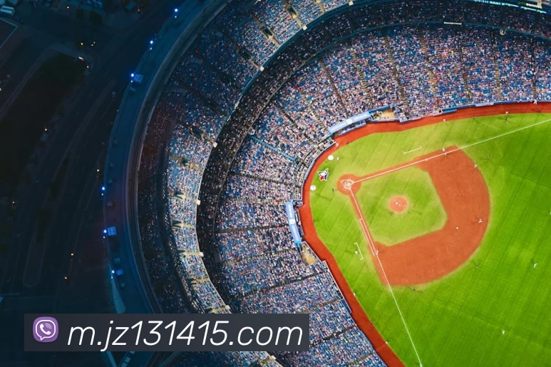 九州娱乐官网平台平台生态图